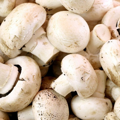 Comprar Champiñones