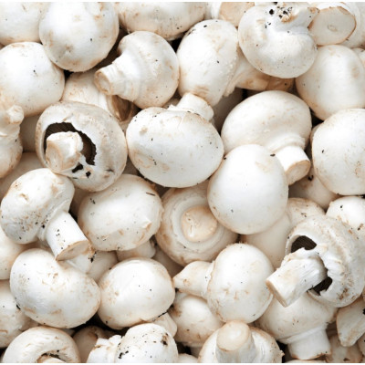 Comprar Champiñones