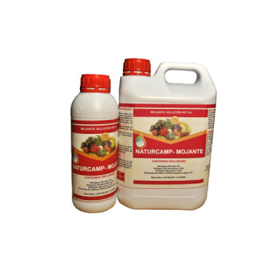 Naturcamp – Mojante