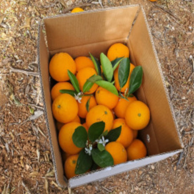 Comprar naranjas