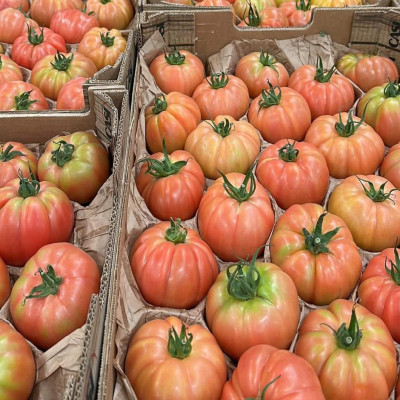 Comprar tomates Comprar tomates
