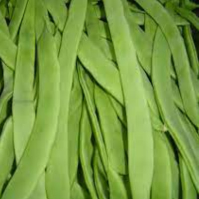 Comprar judias planas