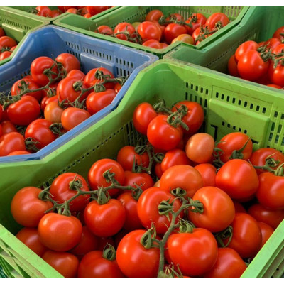 Comprar tomates