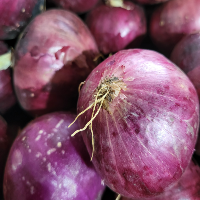 comprar cebolla morada