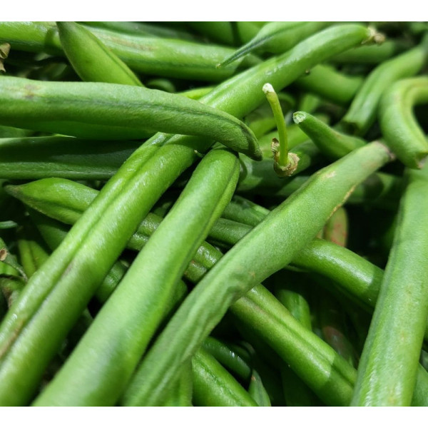 Judías verdes redondas Bobby
