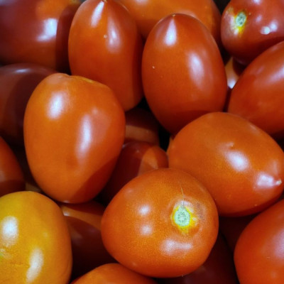 Comprar tomate de pera