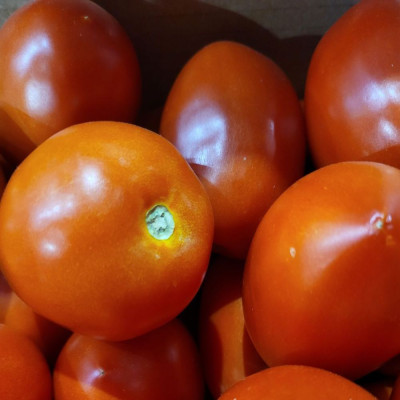 Comprar tomate de pera