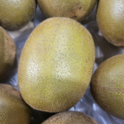 Comprar kiwi amarillo