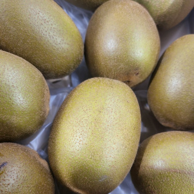 Comprar kiwi amarillo