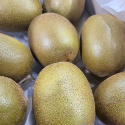 Comprar kiwi amarillo