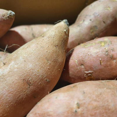 Comprar boniatos