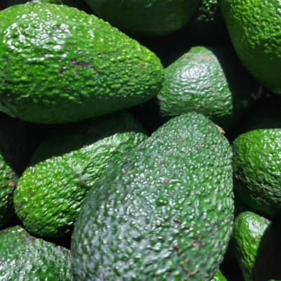 Comprar aguacates