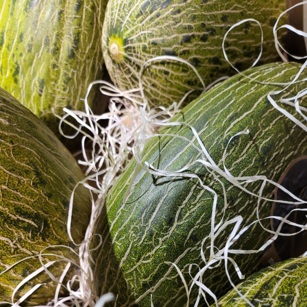 Melón Pack 2 piezas (pieza aprox.2kg cada una)